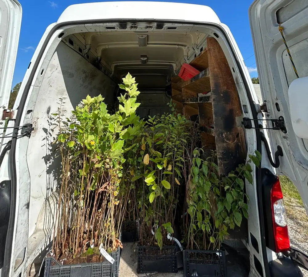 RoncadeRun GreenYou : nuovi alberi nel territorio
